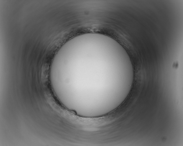 X0000115780030200911271214