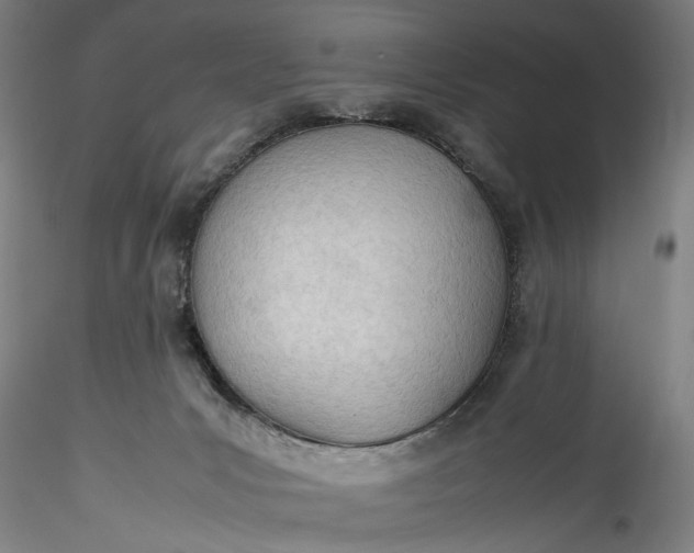 X0000115780031200911271214