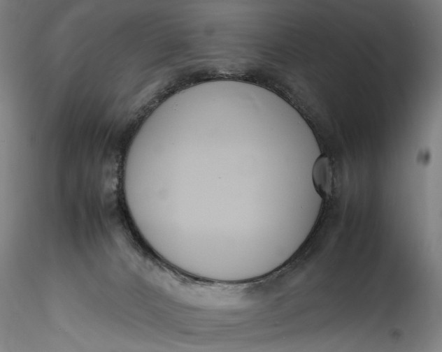 X0000115780032200911271214