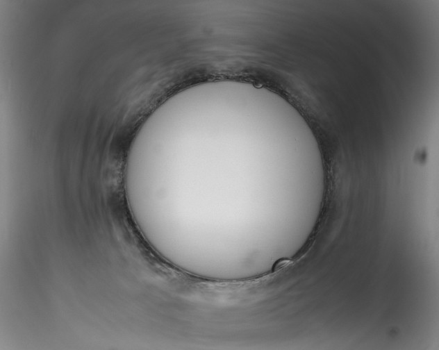 X0000115780033200911271214