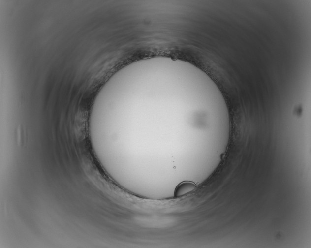 X0000115780034200911271214