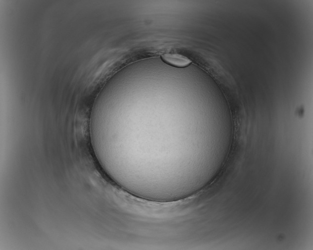 X0000115780035200911271214