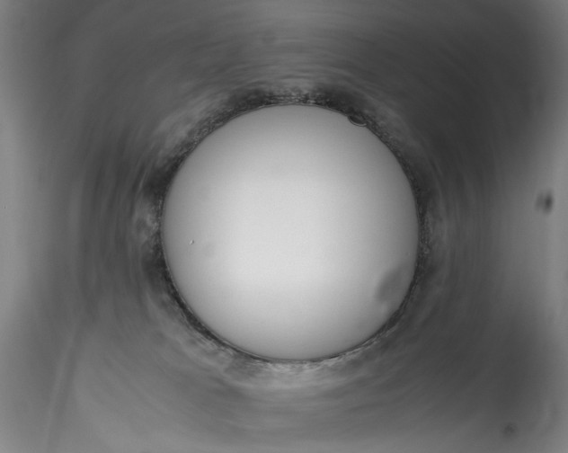 X0000115780037200911271214