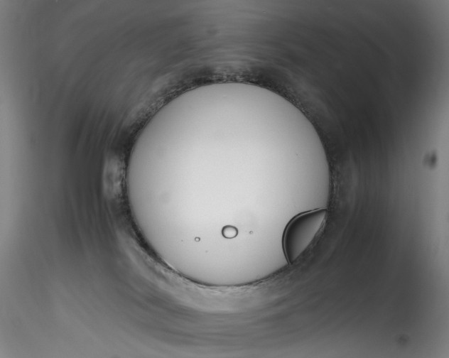 X0000115780038200911271214