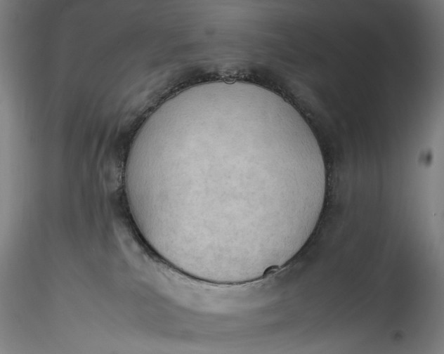 X0000115780039200911271214