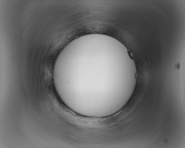 X0000115780040200911271214