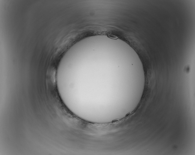 X0000115780041200911271214