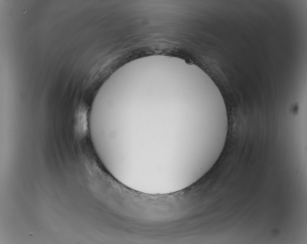 X0000115780042200911271214