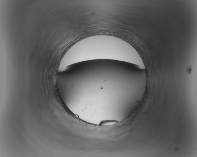 X0000115780043200911271214