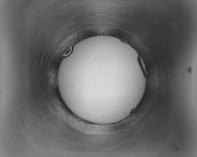 X0000115780044200911271214