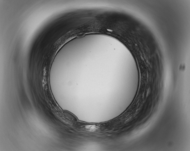 X0000115780050200911271213