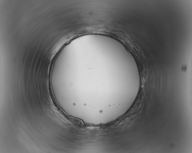 X0000115780052200911271213