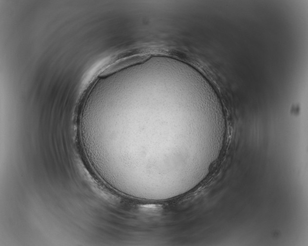 X0000115780053200911271213