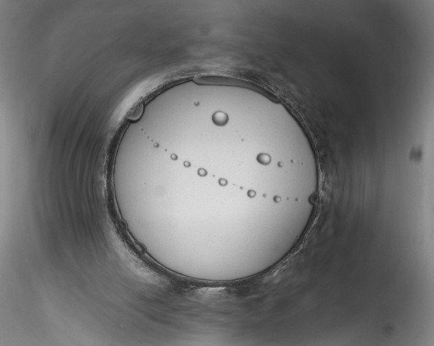 X0000115780054200911271213