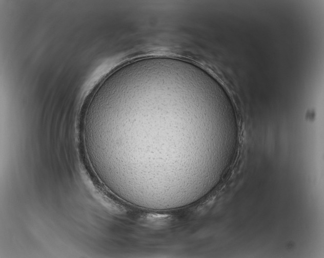 X0000115780055200911271213