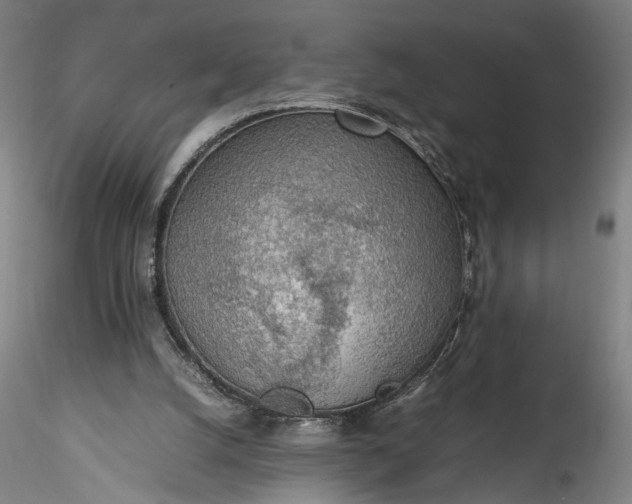 X0000115780056200911271213