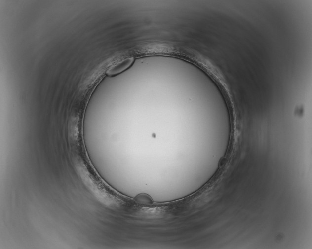 X0000115780057200911271213