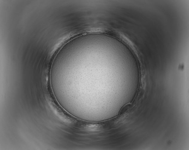 X0000115780059200911271213