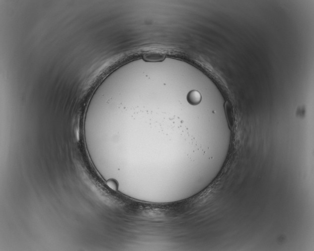 X0000115780062200911271213