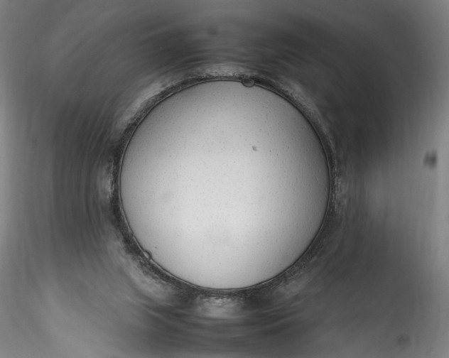 X0000115780063200911271213