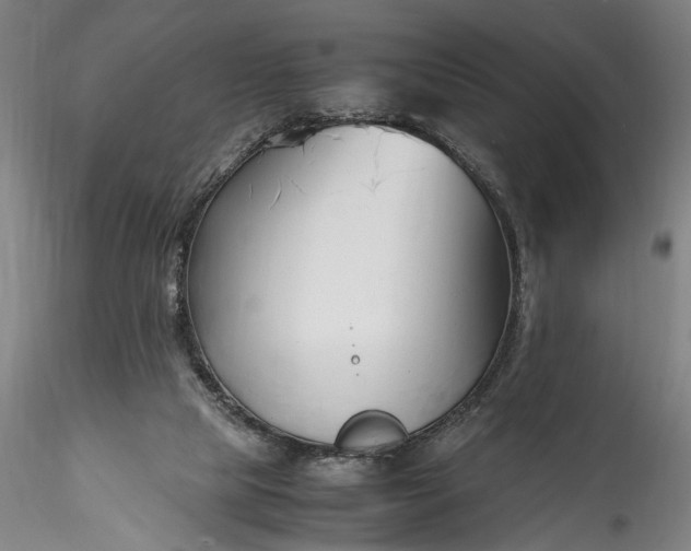 X0000115780065200911271213