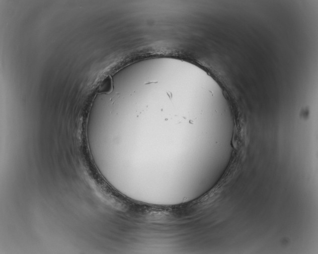 X0000115780066200911271213