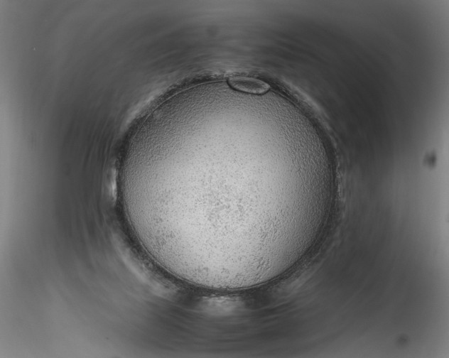 X0000115780067200911271213