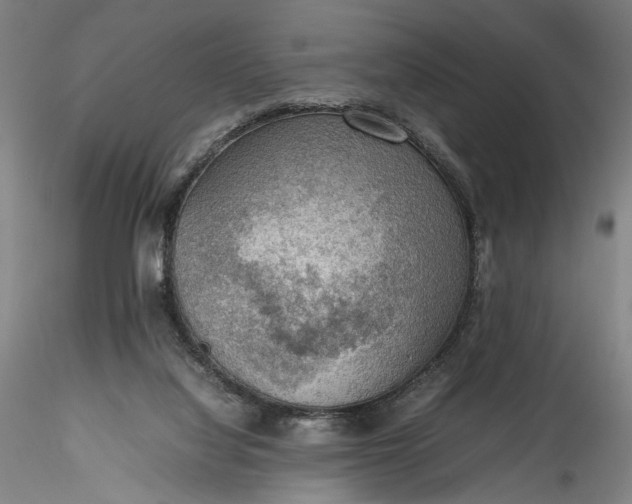 X0000115780068200911271213