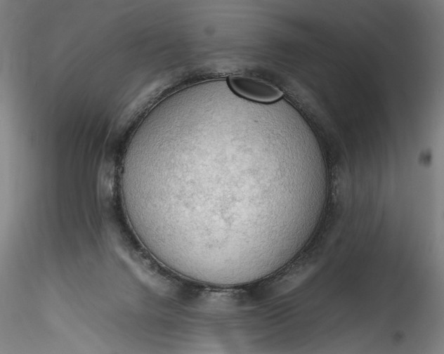 X0000115780072200911271213