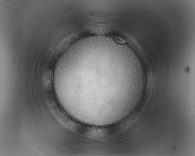 X0000115780073200911271213