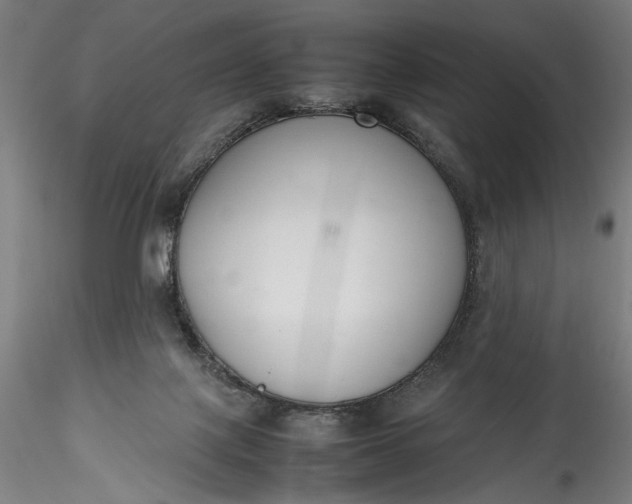 X0000115780075200911271213