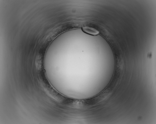 X0000115780080200911271214