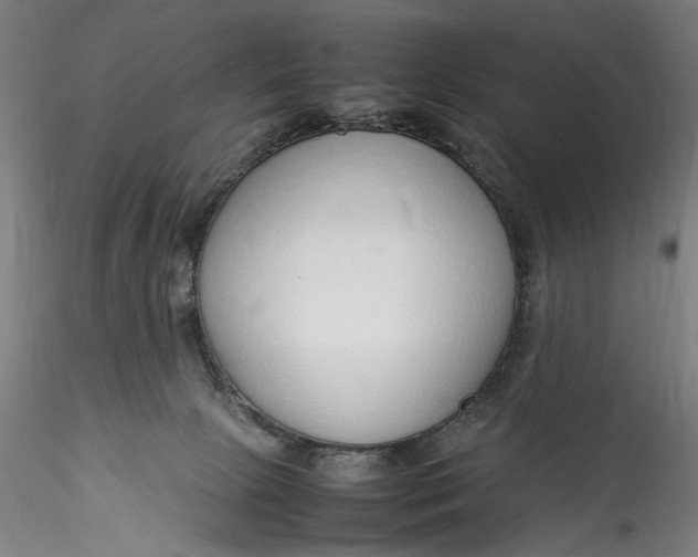 X0000115780081200911271214