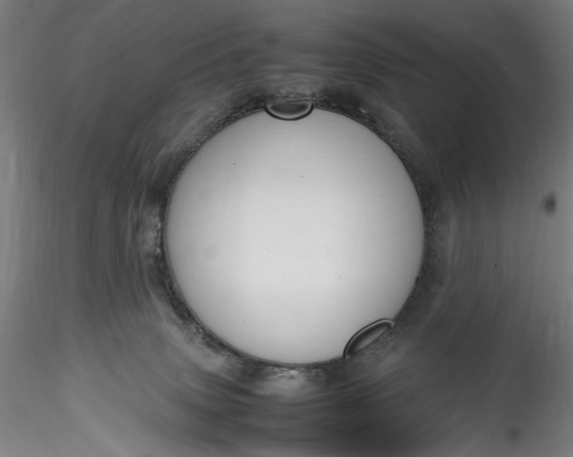 X0000115780083200911271214