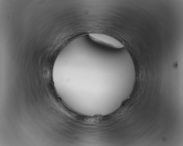 X0000115780084200911271214