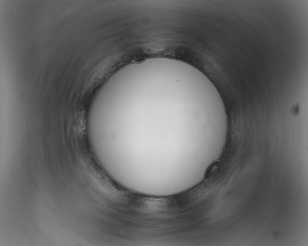 X0000115780085200911271214