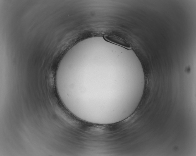 X0000115780086200911271214