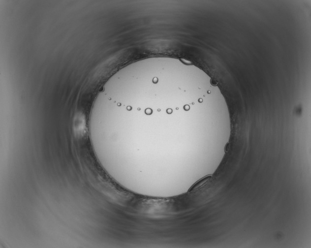 X0000115780089200911271214