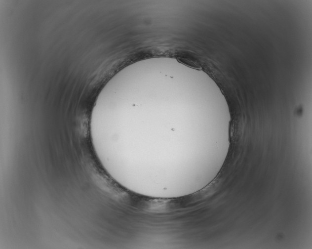 X0000115780090200911271214