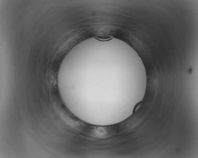 X0000115780091200911271214