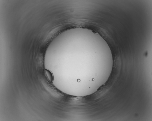 X0000115780092200911271214