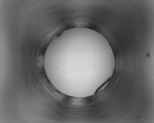 X0000115780093200911271214