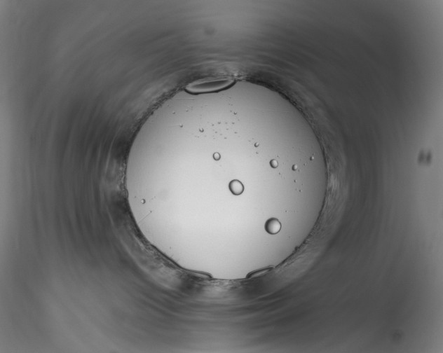 X0000115780096200911271214