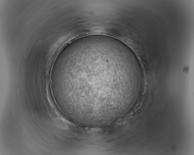 X0000115780097200911271213