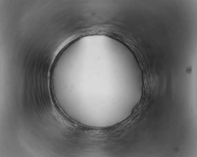 X0000115780100200911271213