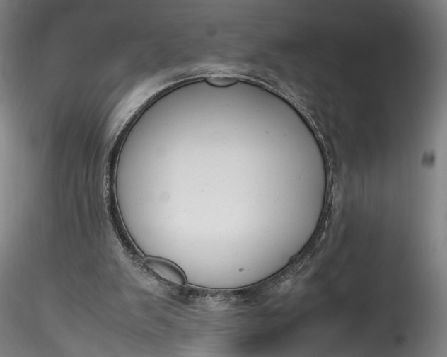 X0000115780103200911271213