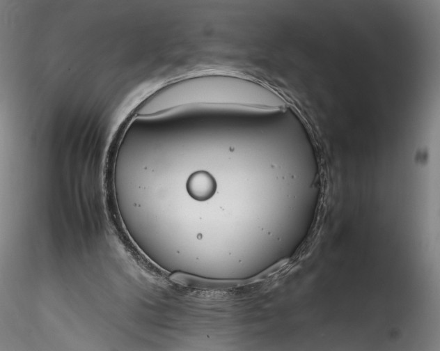 X0000115780104200911271213