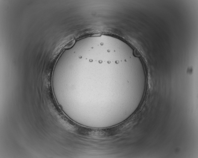 X0000115780105200911271213