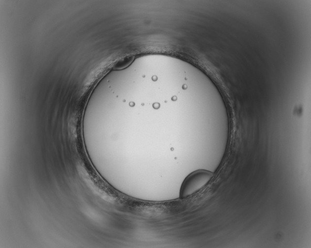 X0000115780106200911271213