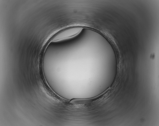 X0000115780108200911271213